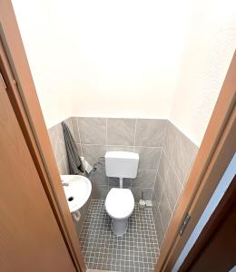 SchlierbachF-F Haus的一间带卫生间和水槽的小浴室