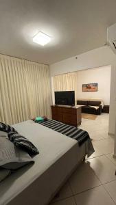 巴雷图斯Apartamento 1411 Barretos Park Hotel - O Hotel do Parque do Peão的一间卧室配有一张床、一台电视和一张沙发