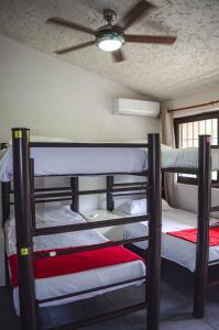 坎昆Naranjo Hostel的带吊扇的客房内的两张双层床