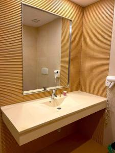 布加勒斯特YamaLuxe Apartments - Silent & Warm With Many Facilities的一间带水槽和大镜子的浴室