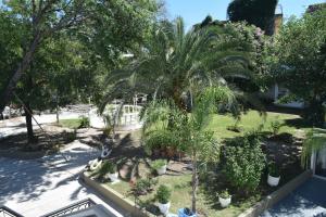 特尔马斯德里奥翁多Hotel De Las Artes的享有棕榈树和植物花园的空中景致