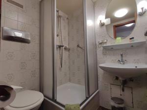 福尔巴赫Room in Guest room - Pension Forelle - Suite的带淋浴、卫生间和盥洗盆的浴室