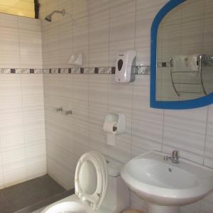 卡哈马卡Gran Hostal Los Pinos的一间带卫生间、水槽和镜子的浴室