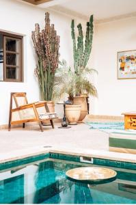 马拉喀什Riad Deha & Spa的一座带植物游泳池的房子