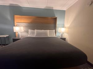 亚瑟港Holiday Home Park Central Port Arthur的一间卧室配有一张大床和两盏灯
