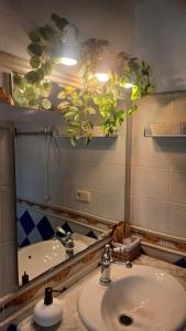 费雷列斯Casa en Ferreries的一间带水槽和镜子的浴室