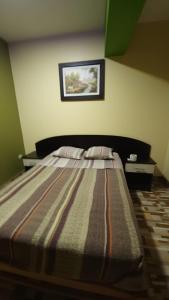 塔克纳Hostal Nochero's的一间卧室配有带条纹毯子的床