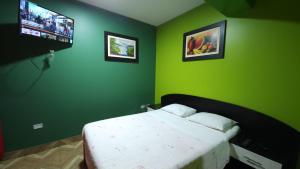 塔克纳Hostal Nochero's的一间卧室设有一张带绿色墙壁的床和一台电视。