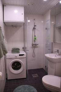 万塔Kodikas hyvin varusteltu yksiö, autopaikalla的一间带洗衣机和水槽的浴室