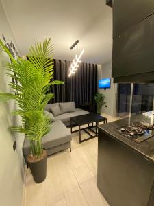 索瓦马San Vito Luxury apartment的带沙发和一些植物的客厅