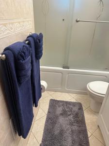 泽西市Genevieve’s comfort pad的浴室设有悬挂在淋浴间的蓝色毛巾
