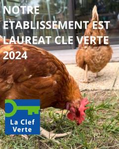 圣伊里埃苏尔查greet hôtel restaurant Angoulême Ouest的鸡跟另一只鸡一起吃草