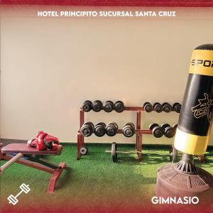 圣克鲁斯PRINCIPITO SANTA CRUZ的一间健身房,里面装有哑铃和麦克风