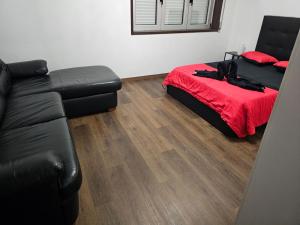 里奥廷托雷斯公寓的客厅配有床和沙发