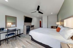 圣安东尼奥Americas Best Value Inn San Antonio Downtown Riverwalk的一间卧室配有一张床、一张书桌和一台电视。
