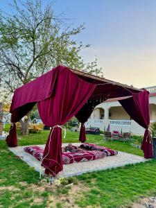 伊斯梅利亚4-BRS Entire FarmHouse in Ismailia lGreen Paradise的草上一组床的紫色天篷