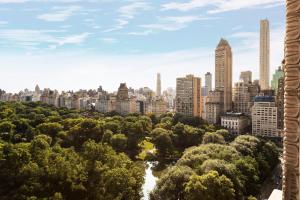 纽约纽约中央公园丽思卡尔顿酒店的从塔楼欣赏城市美景