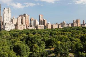 纽约纽约中央公园丽思卡尔顿酒店的从树木繁茂的公园欣赏到城市天际线的景色