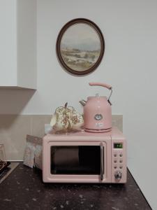 伦敦Whimsical Land的粉红色的微波炉,上面有茶壶