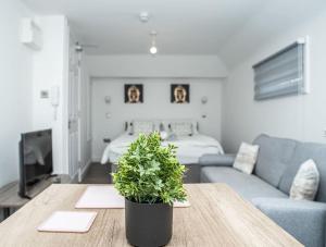 BuckinghamshireAylesbury Studio Apartment 6 with parking的客厅里摆放着植物的桌子