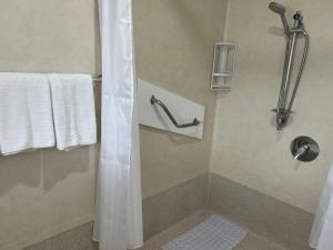 奥波蒂基Magnolia Court Motel的带淋浴和浴帘的浴室