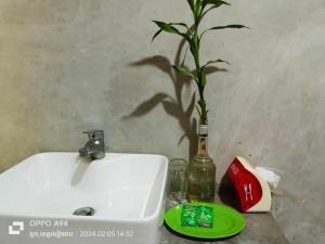 暹粒Phonluer Angkor Homestay,的瓶装植物,浴室水槽旁