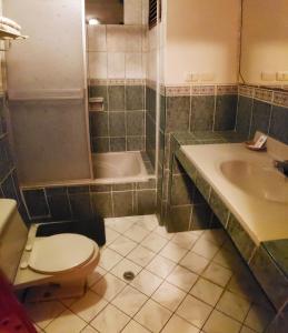 库斯科Vilandré Hotel Cusco的浴室配有卫生间、盥洗盆和淋浴。