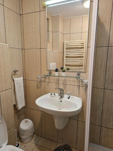 波亚纳布拉索夫VILA GALBENA - Poiana Brasov的一间带水槽、卫生间和镜子的浴室