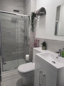 HordleDragonflies的带淋浴、卫生间和盥洗盆的浴室