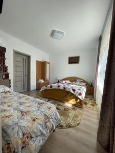 诺瓦齐- 斯特拉尼Pensiunea CAV的一间卧室,配有两张床