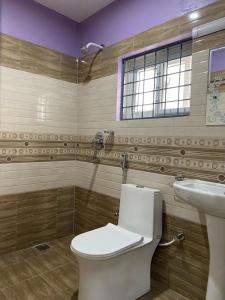 拜拉哈瓦Hotel Mangalam的一间带卫生间和水槽的浴室
