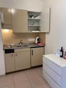 蓬泰特雷萨戴尔索尔加尼别墅的小厨房配有白色橱柜和水槽