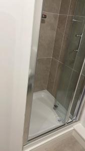都柏林BELMAYNE APARTMENTS的浴室里设有玻璃门淋浴