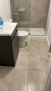 都柏林BELMAYNE APARTMENTS的浴室配有卫生间、盥洗盆和淋浴。
