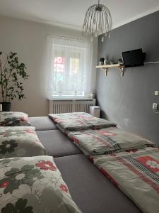 利贝雷茨Ubytování Mája的客房设有两张床和窗户。