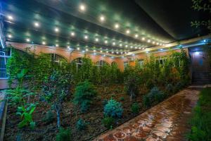 YalanghochСабзавот Давр Дача的一座带植物和灯光的花园的建筑