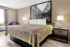哈克高地Super 8 by Wyndham Harker Heights Killeen - Fort Cavazos的酒店客房,配有一张带绿毯的床