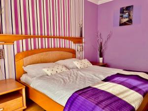 赫维兹力士旅馆的一间卧室设有一张紫色墙壁的大床