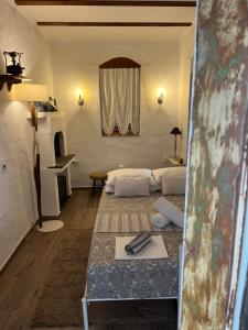 科斯基努Traditional Villa Sofia的一间带两张床和镜子的客厅