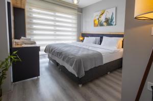 特拉布宗ZAL SUİTE的一间卧室设有一张大床和一个窗户。