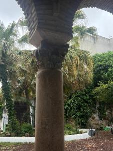 科尔多瓦Palacio de los Angulo casa histórica en el centro de Córdoba的棕榈树庭院里一个大石头柱子