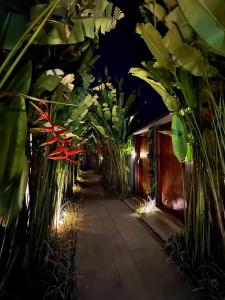 坎古The Clifton Canggu Villas的夜间充满植物的走廊