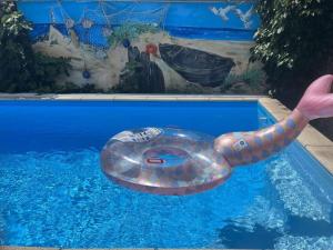 韦恩波拉Heyne Modern retreat的充气章鱼在游泳池游泳