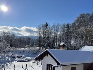 冬天的Oberland Stadlberg