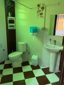 苏尔Orchid sur guest house的一间带卫生间和水槽的浴室