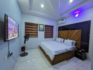 AkwaRacvity Homes Limited的一间卧室配有一张床和一台电视