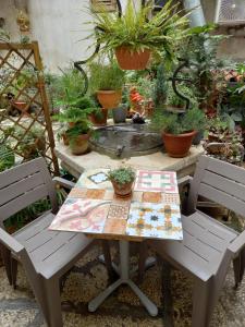 罗维尼Bunari Studio Apartment的花园里种有植物,配有桌椅