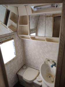 赫尔辛基Helsinki's Caravan Adventureヅ的一间带卫生间和水槽的小浴室