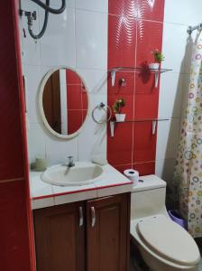 特鲁希略Apartamento Vallejo的一间带水槽、卫生间和镜子的浴室