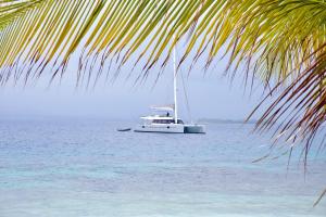 Isla Wichitupo Grande"Marea" Sunreef 62 Catamaran with Crew all inclusive的浮在水中的船,靠近棕榈树